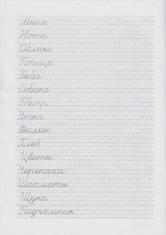 Прописи для исправления почерка у школьников 12 лет