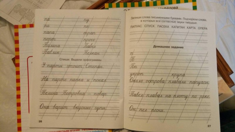 Мои первые прописи Узорова Нефедова