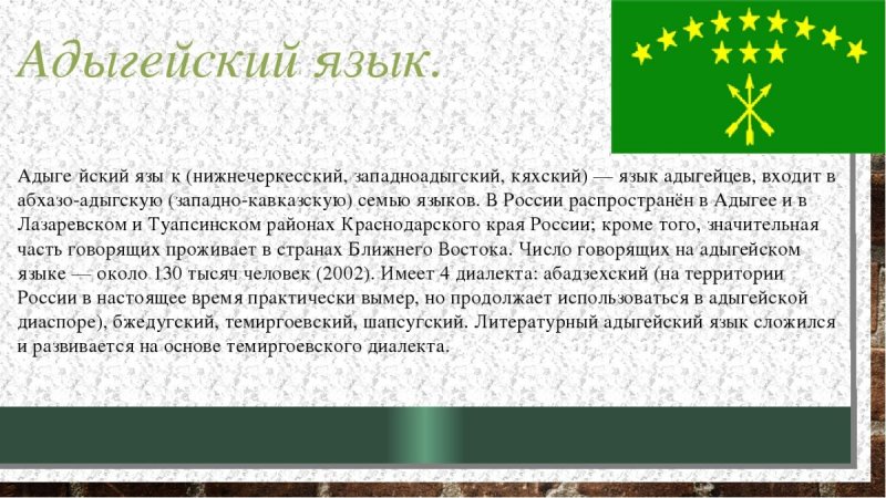 Язык адыгов