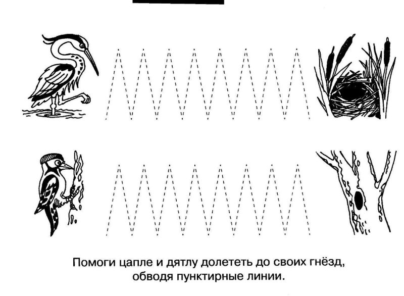 Перелеьные птицы задания логопед
