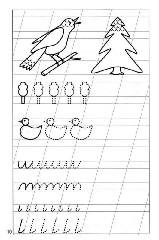 Прописи для дошкольников 5-6 лет