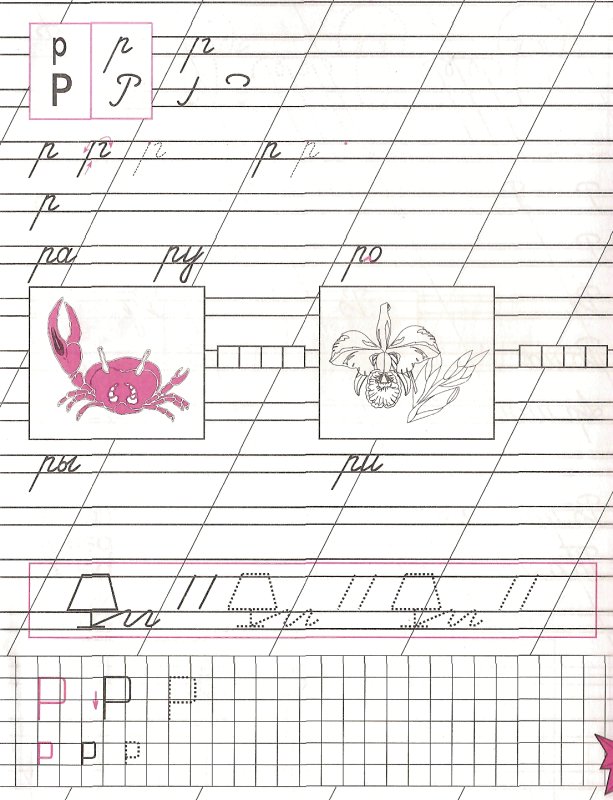 Строчная и заглавная буква р прописи