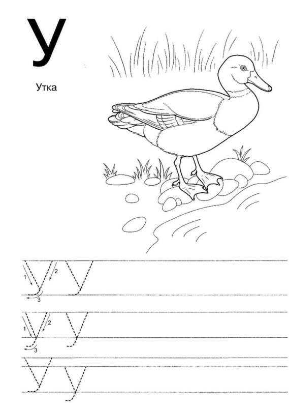 Буква с задания для дошкольников