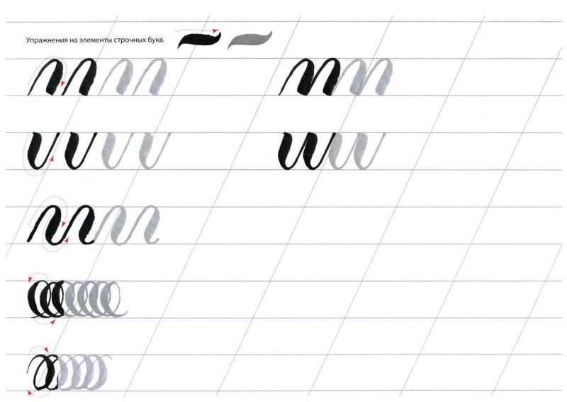 Базовые упражнения каллиграфия