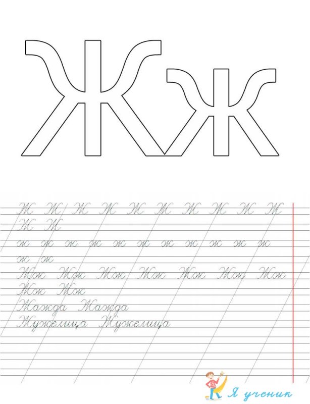 Прописи буквы ж для дошкольников прописная