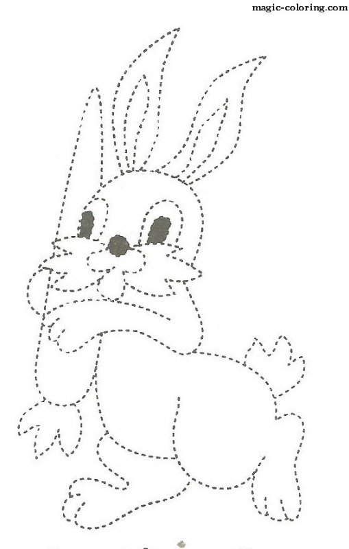 Заяц обводка