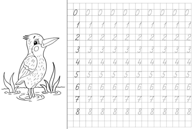 Прописи для дошкольников 5-6 лет цифры