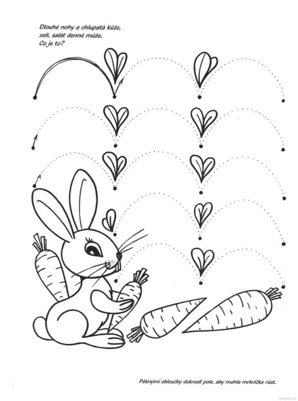 Заяц задания для детей