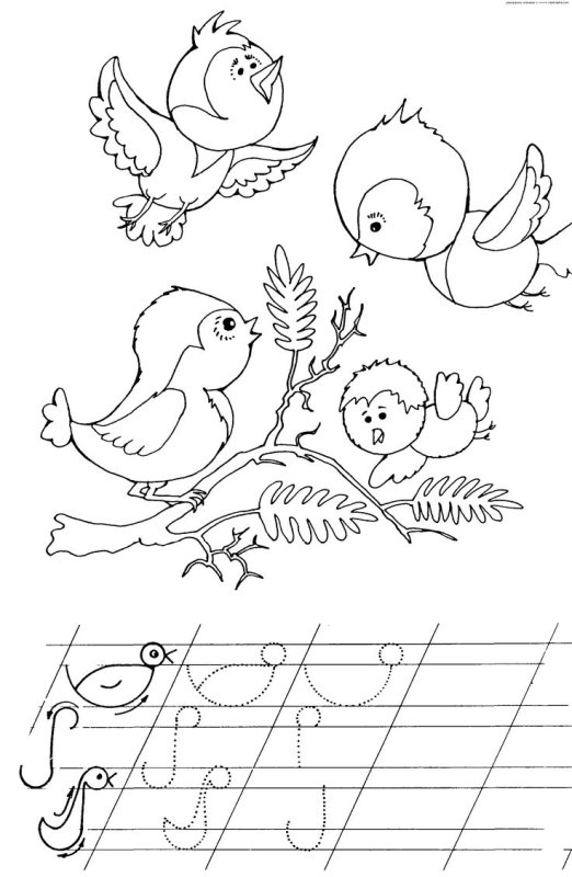 Задания раскраска о птицах для дошкольников