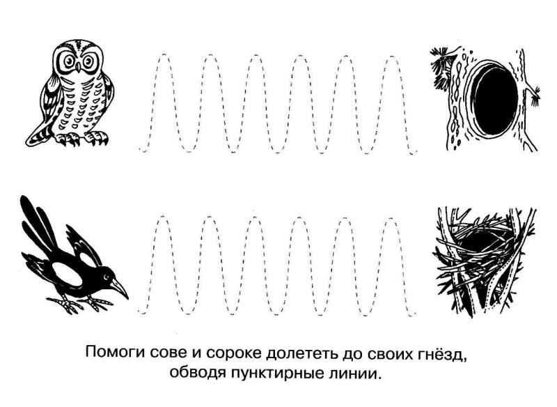 Штриховка перелетные птицы для дошкольников