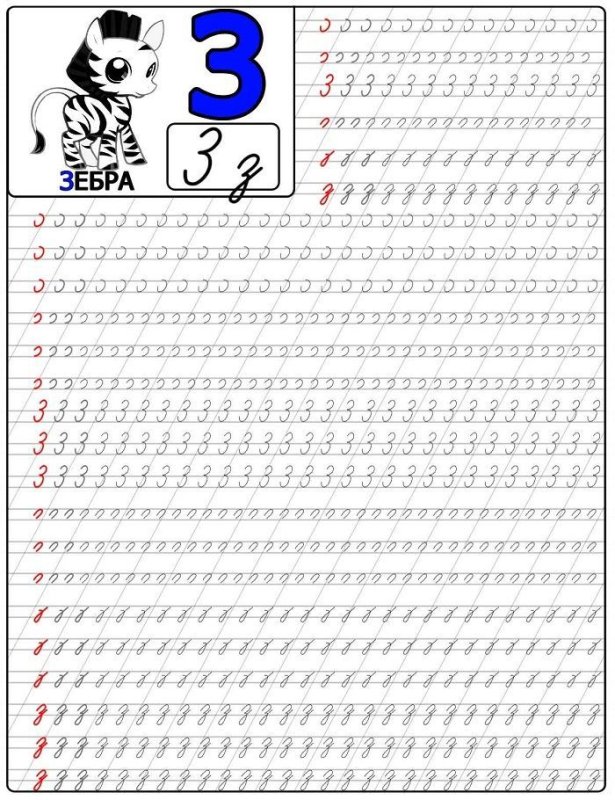 Пропись буква з прописная