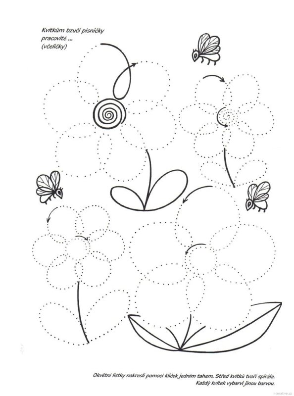 Комнатные цветы задания для дошкольников