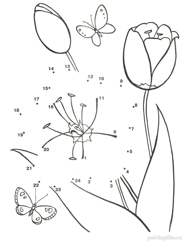 Рисование по точкам цветы
