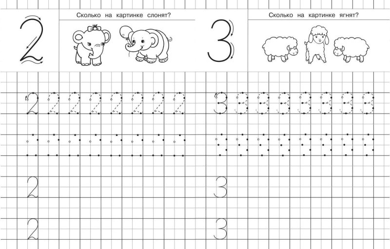 Прописи цифры для дошкольников 4-5 лет