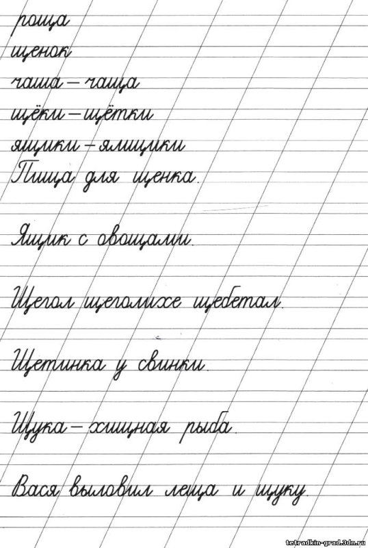 Прописи предложения