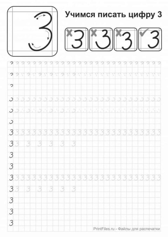 Число и цифра 3 пропись для дошкольников