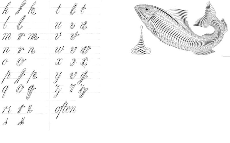 Каллиграфия прописи