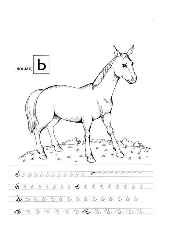 Прописи. Буквы