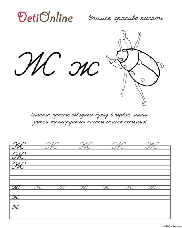 Буква ж пропись для дошкольников
