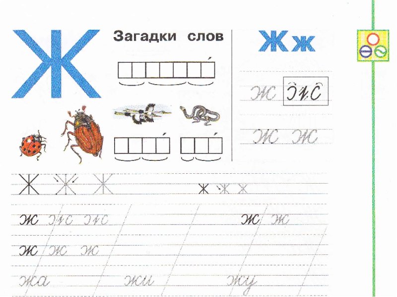 Буква ж пропись для дошкольников
