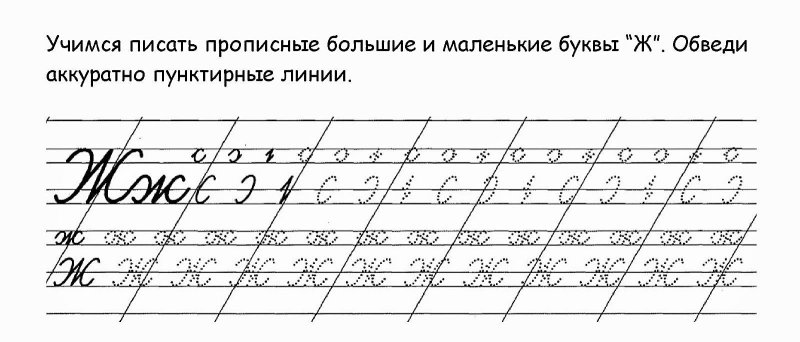 Правописание строчной буквы ж