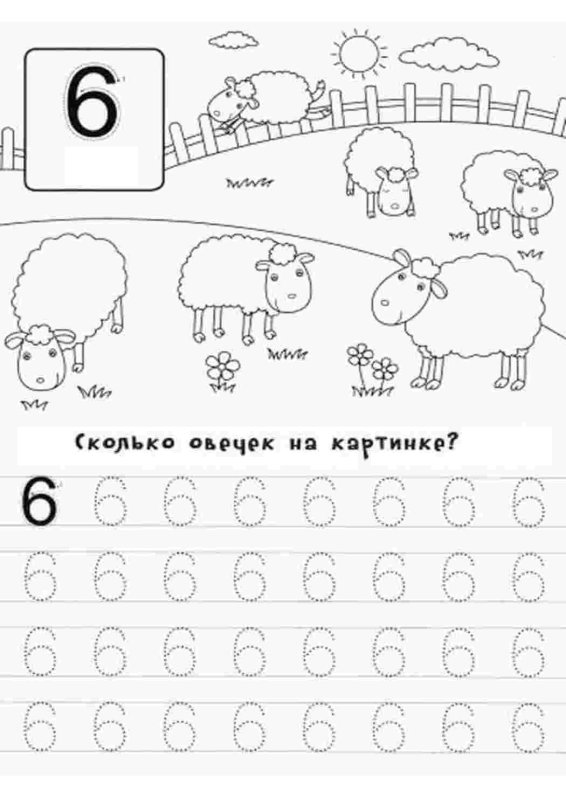 Число и цифра 6 прописи для дошкольников