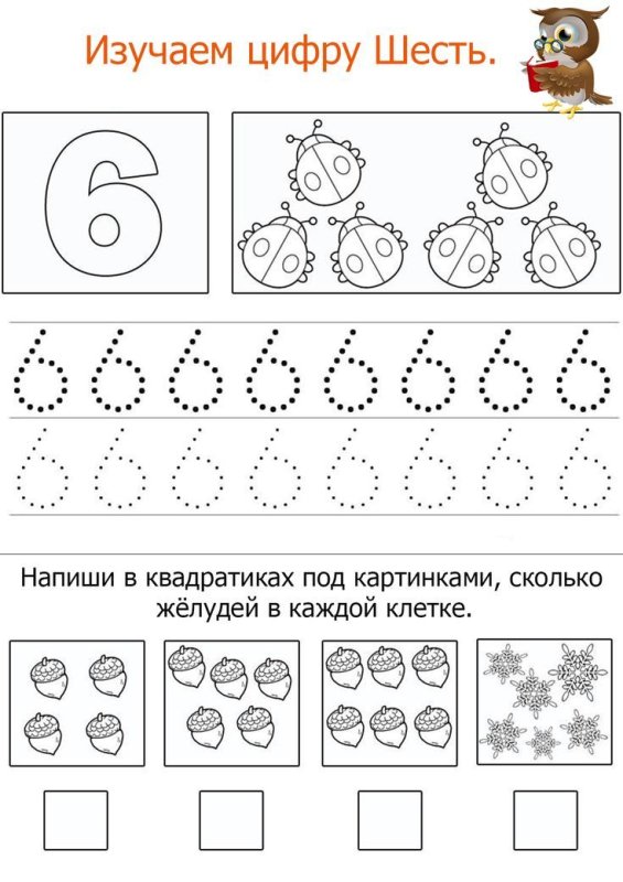 Прописи цифры для дошкольников цифра 6