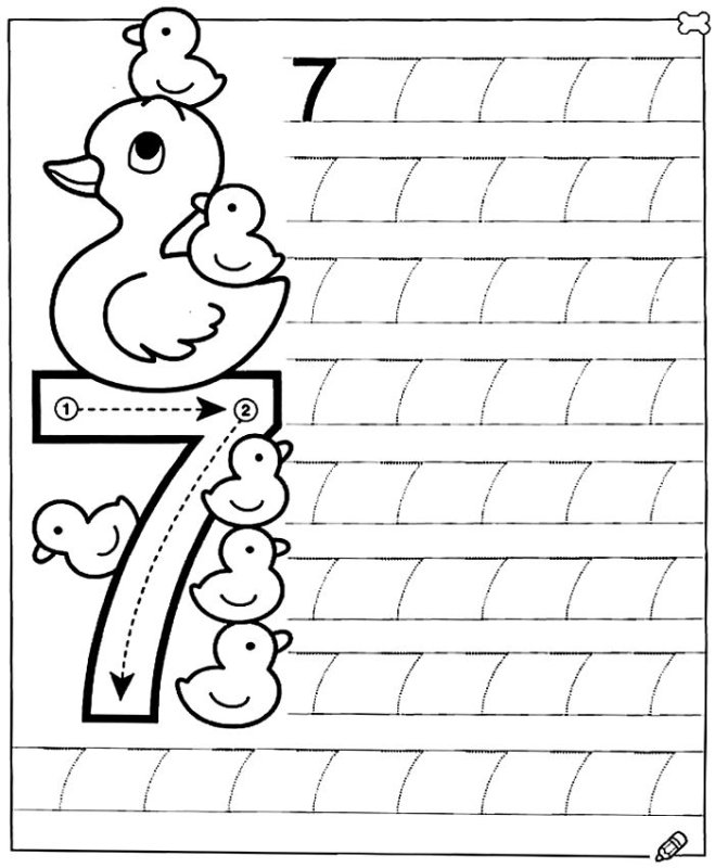 Прописи цифр