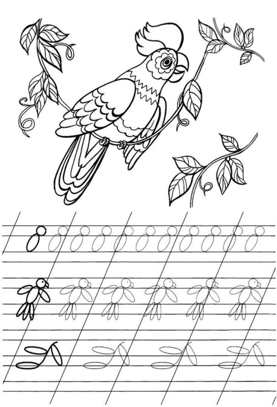 Прописи для дошкольников птицы