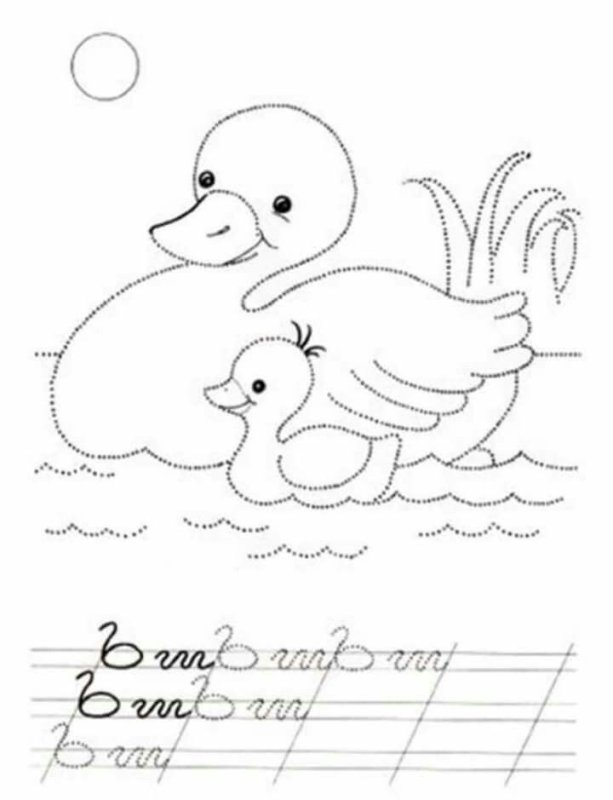 Раскраска утка по точкам