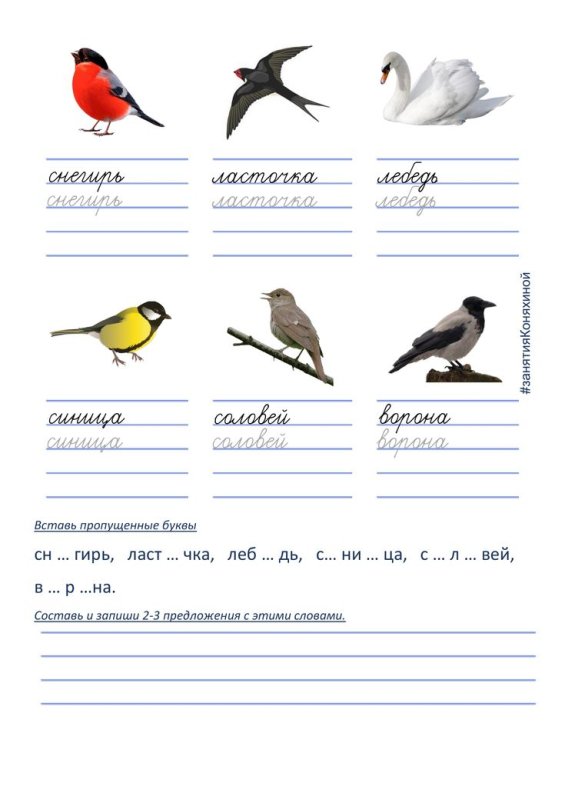 Прописи словарные слова 2 класс