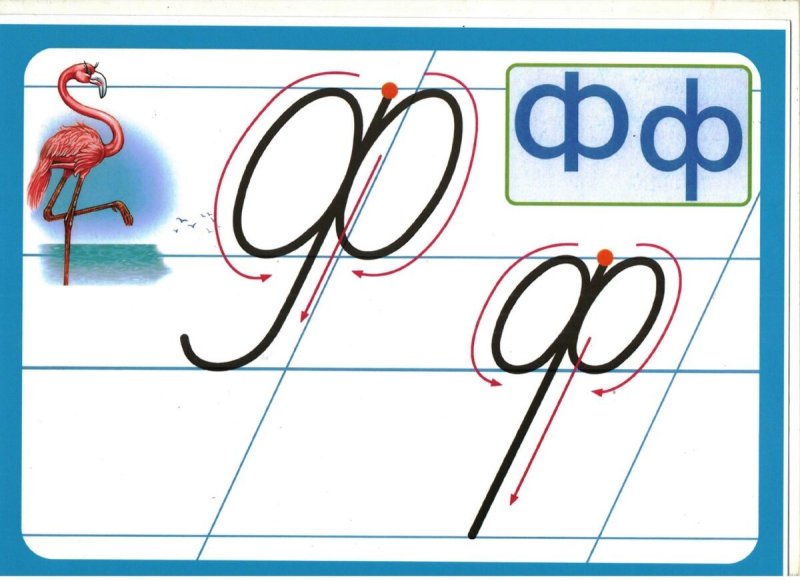 Буква ф прописная и строчная