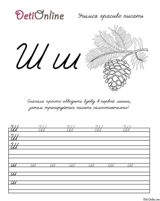 Прописи буква ш для дошкольников прописная