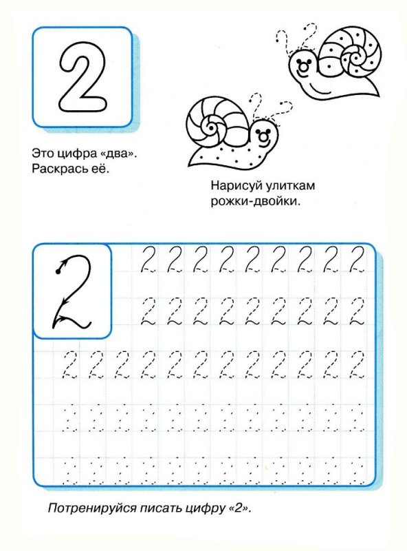 Прописи написание цифры 2 для дошкольников