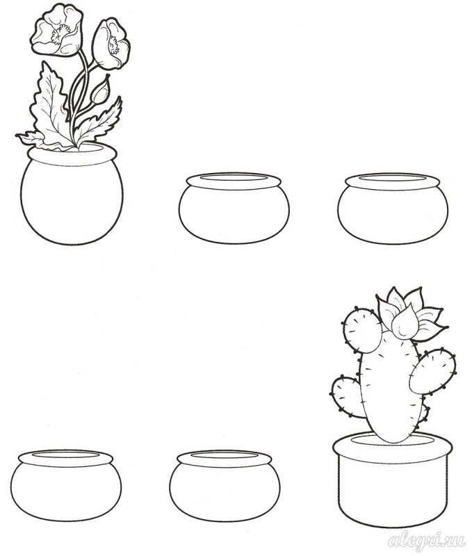Раскраски для малышей комнатные растения