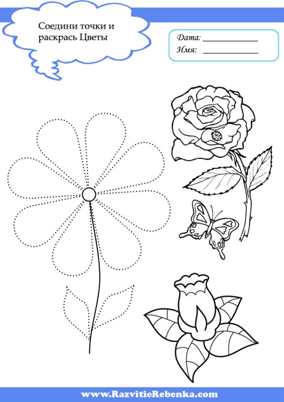 Цветы задания для малышей