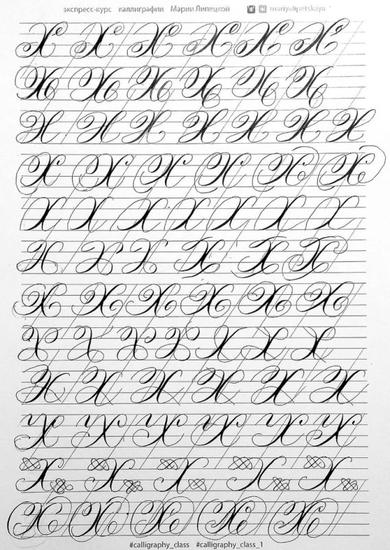 Прописки для каллиграфии