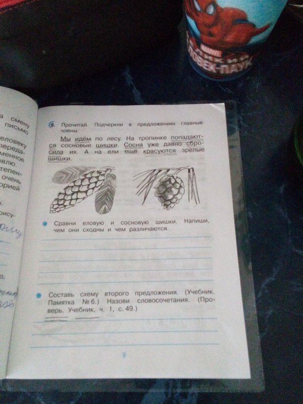 Подбери слова шишки