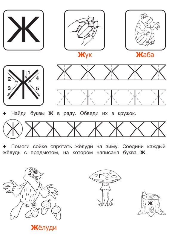 Буква ж задания для дошкольников пропись
