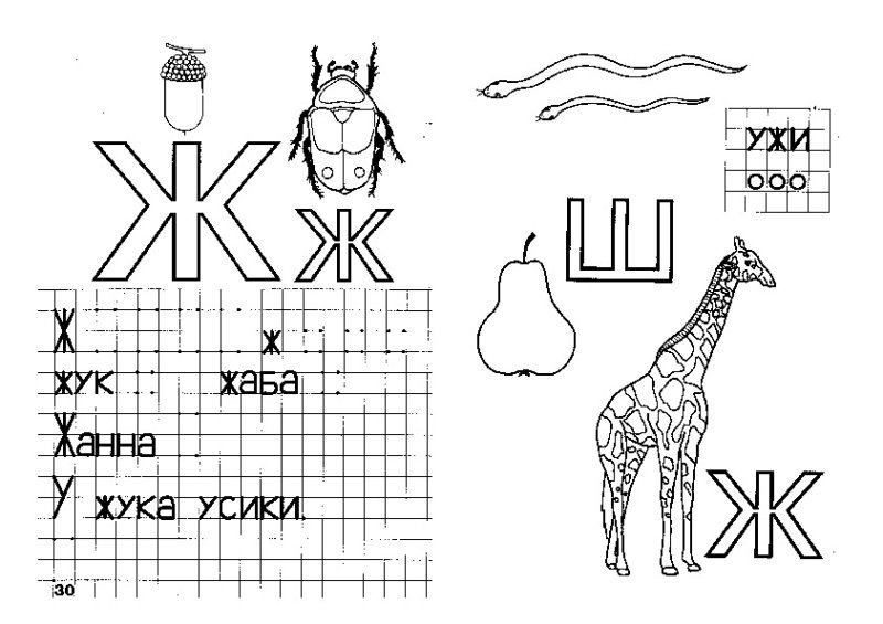 Буквы ж и ш задания для дошкольников