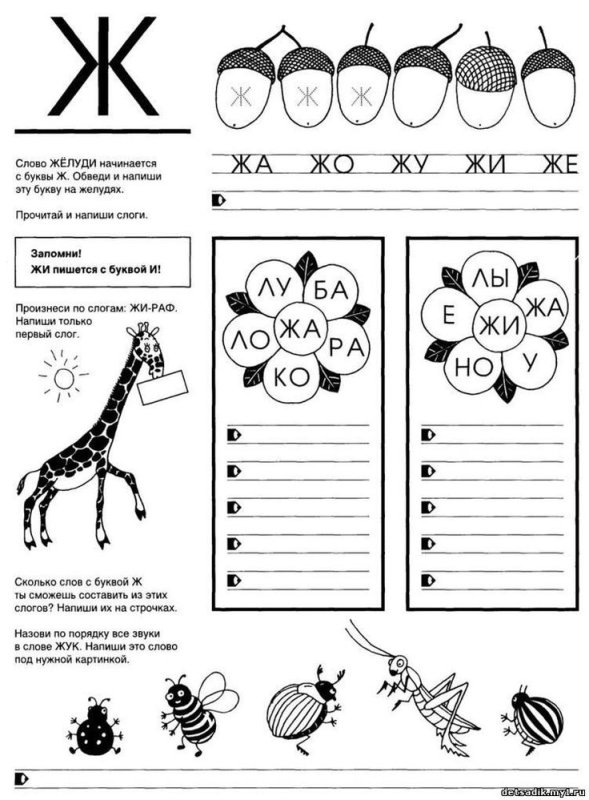 Занятие буква ж для дошкольников