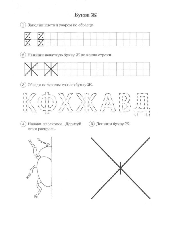 Конспект занятия буква ж