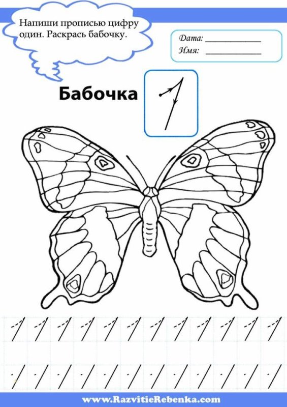 Бабочки задания для дошкольников