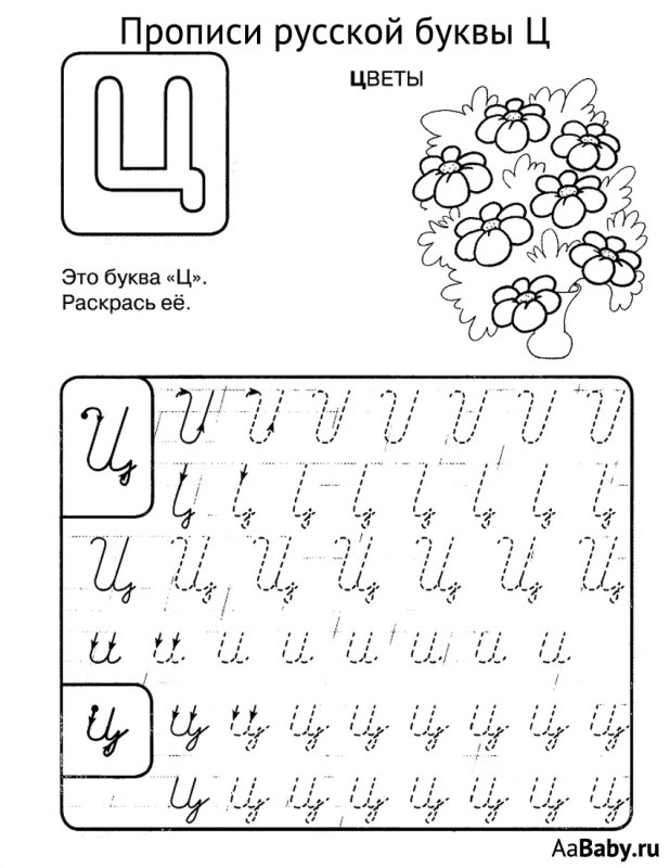 Пропись строчной буквы ц
