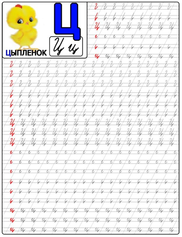 Пропись буквы ц прописной для дошкольников