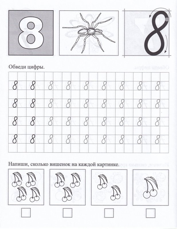 Обводка цифр