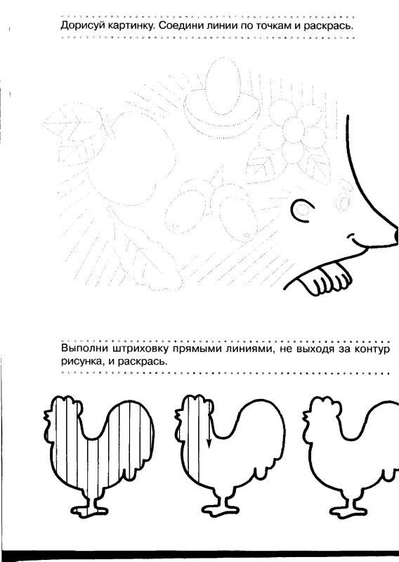 Заштрихуй домашние птицы