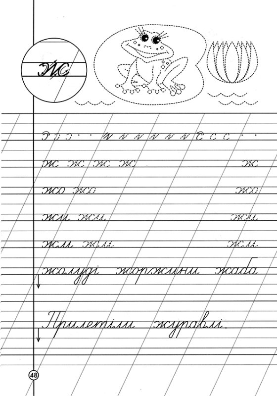 Буква ж пропись