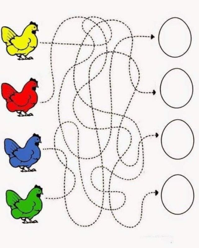 Птицы задания для дошкольников