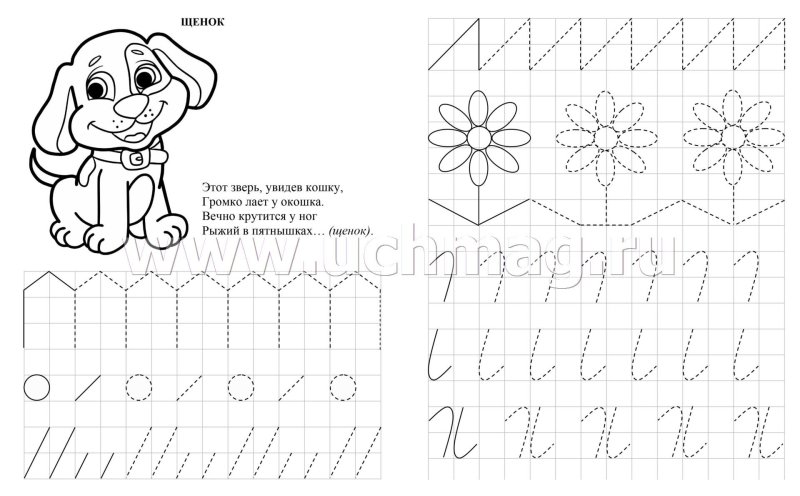 Задания в прописи для дошкольников 4-5 лет